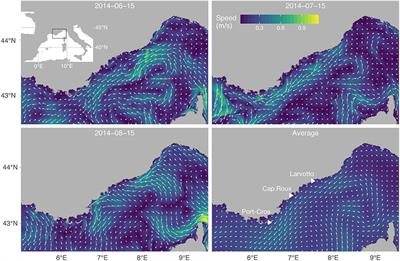 Larval Fish Swimming Behavior Alters Dispersal Patterns From Marine Protected Areas in the North-Western Mediterranean Sea